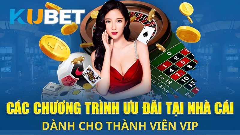Thành viên VIP tại Live Casino được hưởng nhiều ưu đãi độc quyền, giá trị