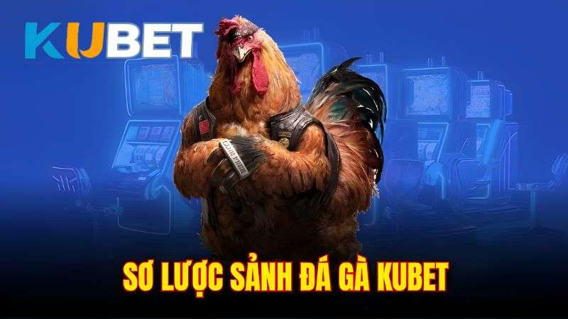 Sảnh Đá Gà KUBET trực quan, cung cấp nhiều kèo cược hấp dẫn
