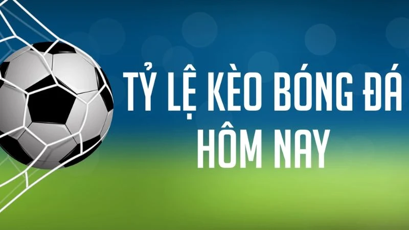 Bảng tỷ lệ kèo bóng đá hôm nay 1/2026 – Top trận hot